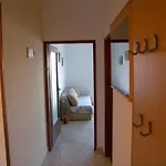 5 *