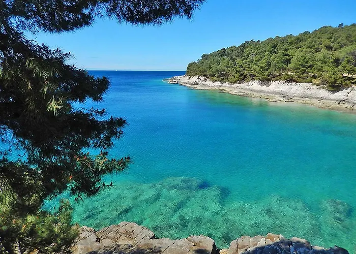 5 * Pula
